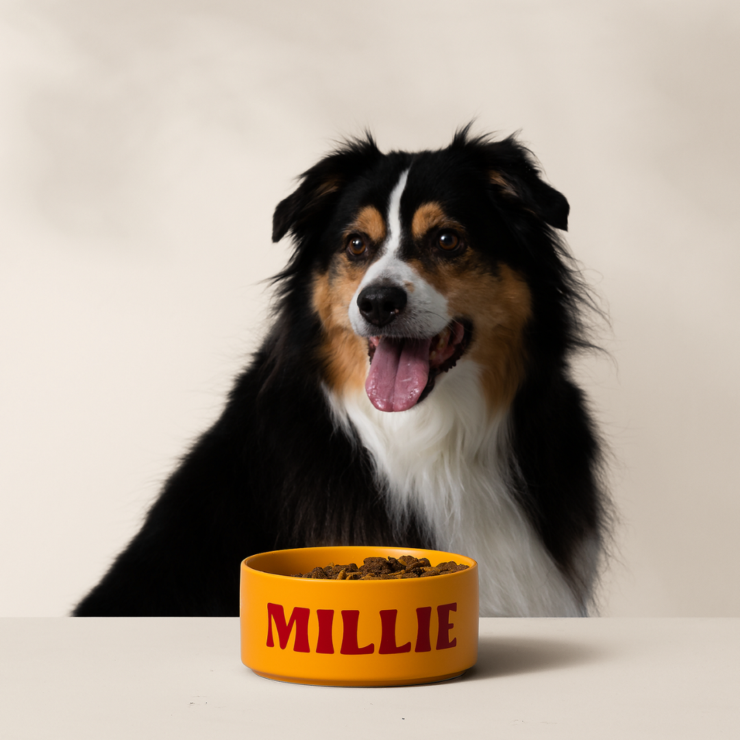 Cricut Joy Xtra™ in Lavender + Materials Bundle